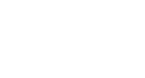Nintendo Switch Online Logo